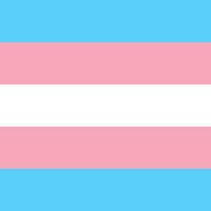Nonbinary pride flag (2014)