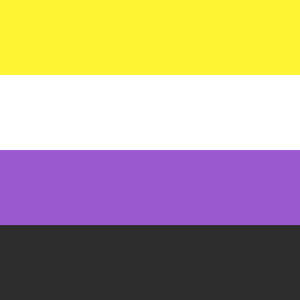 Transgender pride flag (1999)